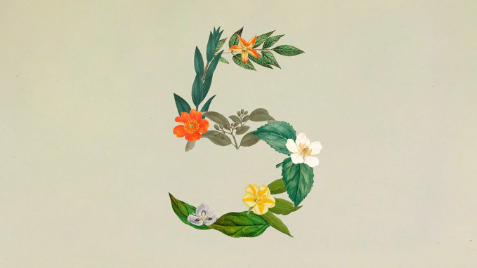 Imagen de Sonnet 5