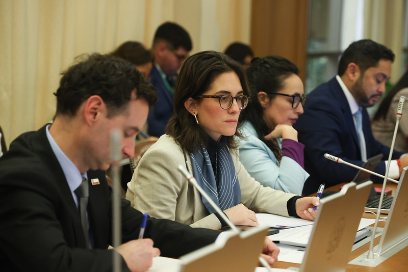 Ministra Maria Jesus Wulf presenta en Comision de Desarrollo Social proyecto que crea bono de apoyo a la ninez
