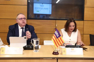 El consejero de Sanidad de Castilla y León, Alejandro Vázquez, y la consejera de Sanidad de Baleares, Manuela García Romero, durante la reunión del pleno del CISNS, a 10 de julio de 2026, en Madri