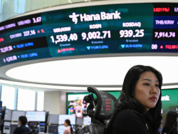 Bolsa