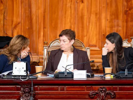 Comisión de la Mujer