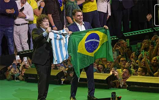 BRASIL LLAMA