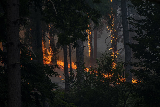 Vista del incendio cerca de la Charca de la Nieta, a 26 de julio de 2026, en Piedralaves, Ávila, Castilla y León (España). El peligro de incendios se disparará este martes 28 de julio a niveles mu