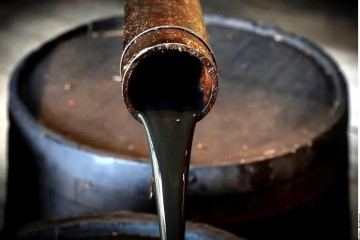 EuropaPress 7336263 senadora laura itzel castillo defiende mexico puede vender regalar petroleo