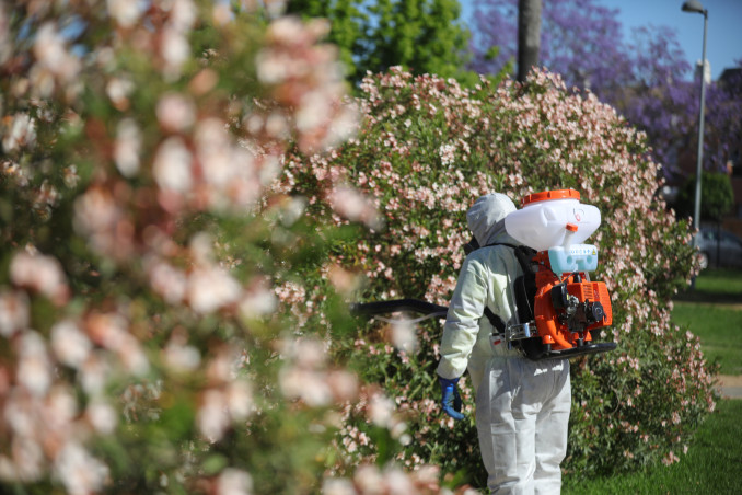 Archivo - Un operario  inician  las labores de fumigación y el tratamiento de imbornales contra el mosquito para prevenir el Virus del Nilo a 11 de mayo del 2021. En el Parque Municipal Adolfo Cantal