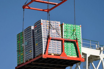 EXPORTACION FRUTAS TPS.web (2)