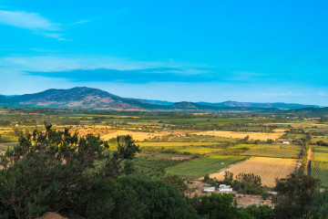 Campo 2 (1)