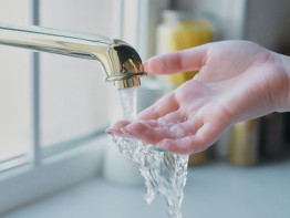 Agua