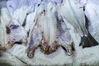 Archivo - El 8 de mayo de 2019, se coloca bacalao crudo en sal marina en la fábrica de bacalao «Riberalves», situada en Moita, Setúbal.