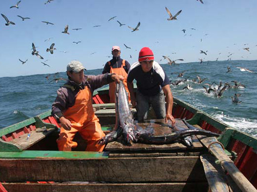 Pesca artesanal (1)