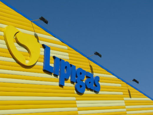 LIPIGAS0 WEB (2)
