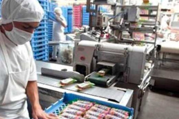 Industria Manufacturera4 (6)