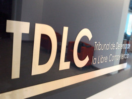 TDLC .web (10)