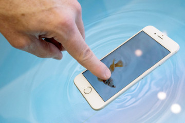SMARTPHONE 2.web (2)