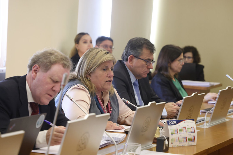 Comision de DD.HH . aprobo en general proyecto que modifica el funcionamiento del INDH