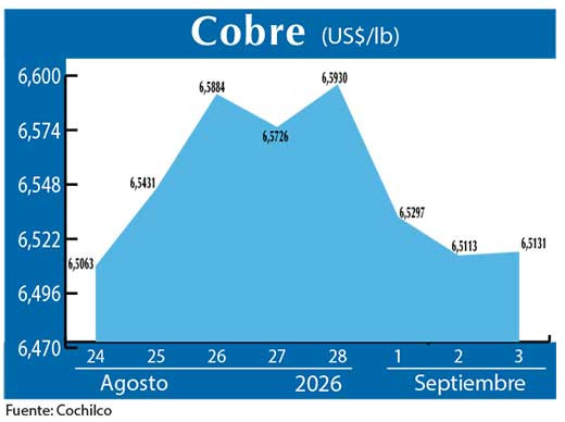 COBRE 3 09 (2)