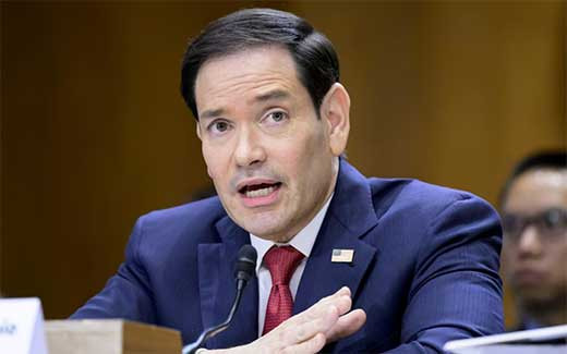 Rubio aseg