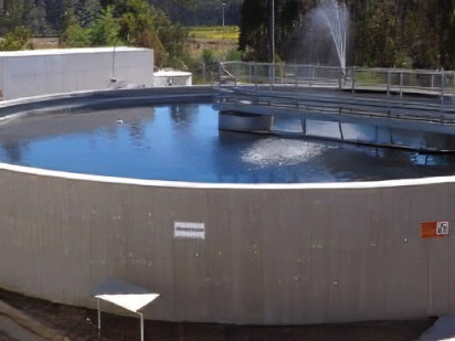 Planta de agua