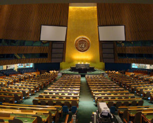 ONU.web (1)