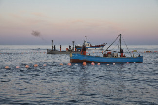 Archivo - Varios pescadores durante la ‘levantá’ del atún en las inmediaciones de Barbate, a 27 de mayo de 2025, en Barbate, Cádiz, Andalucía (España).