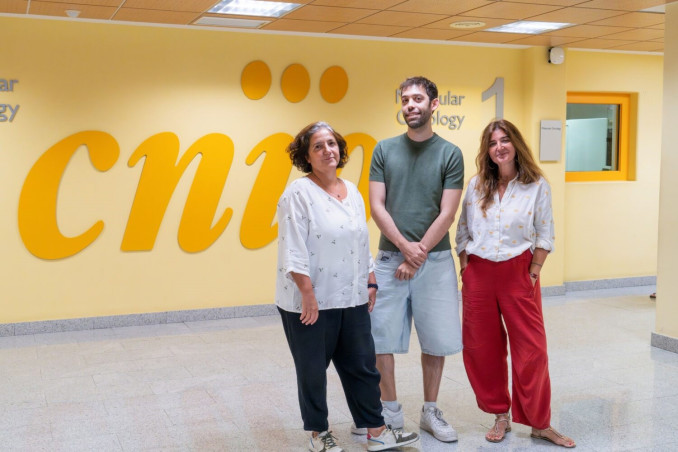 Imagen de los investigadores del CNIO.