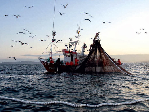 Pesca1