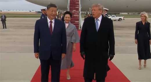 XI