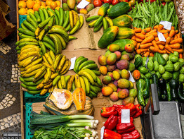 Alimentos
