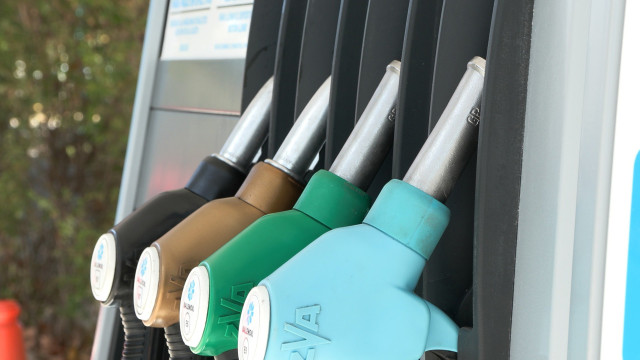 Mangueras de un surtidor de combustible en Zaragoza