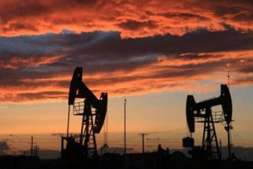 Petroleo22