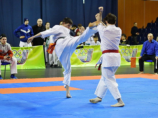 Artes Marciales