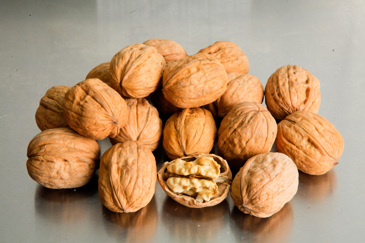 Las nueces chilenas son protagonistas de una industria que busca fortalecer su competitividad y presencia internacional