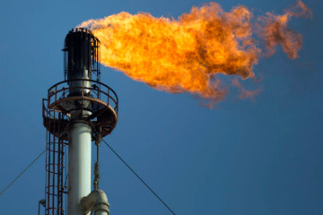 PETROLEO4 WEB
