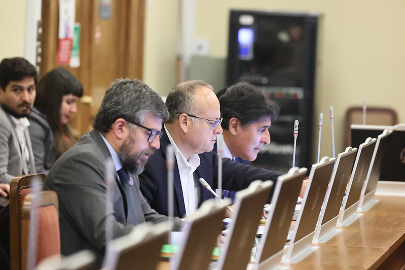 Dip oposicion seg Ciudadana