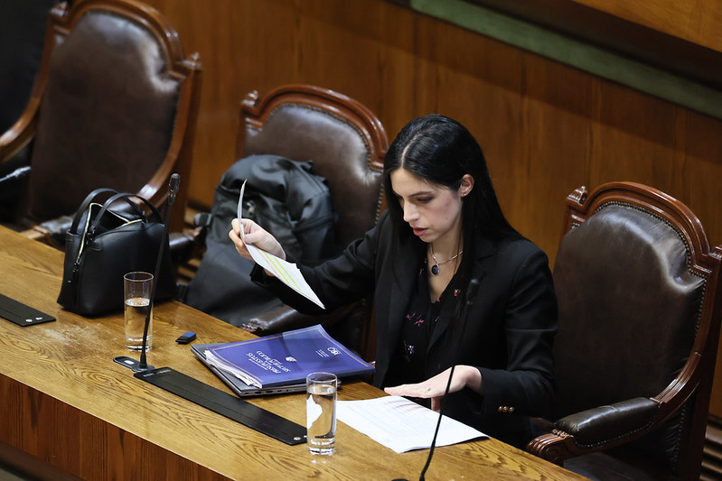 Ministra del Medio Ambiente