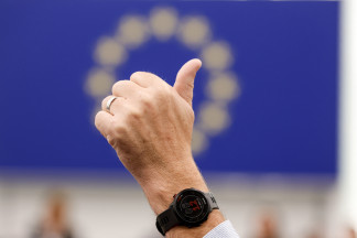 Voto favorable en el Parlamento Europeo.
