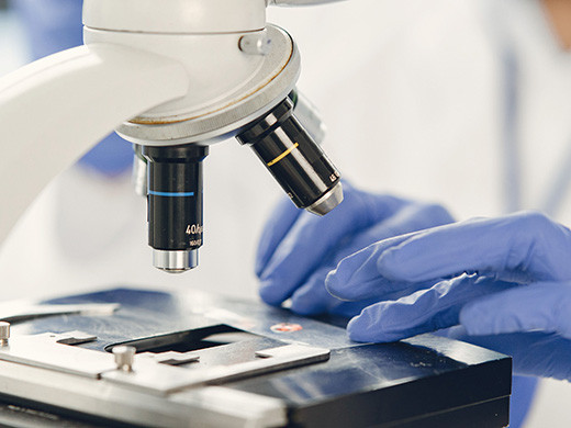 Microscopio