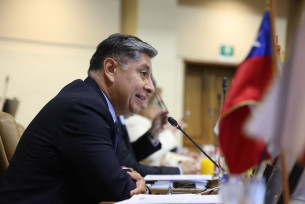 Dip. Carlo Arqueros