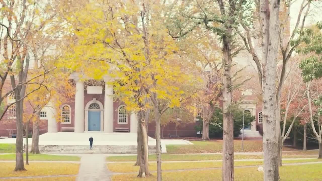 Una jueza federal detiene la suspensión de visados a alumnos extranjeros de Harvard