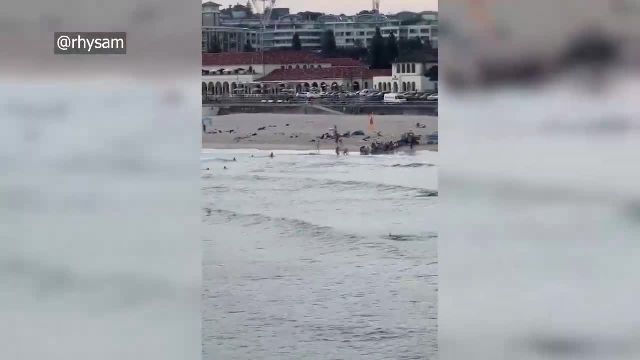 Al menos nueve muertos y 12 heridos en un ataque durante una fiesta judía en la playa de Bondi